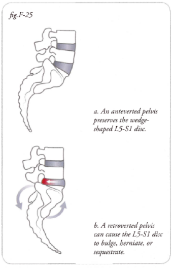 Posture While Slacklining