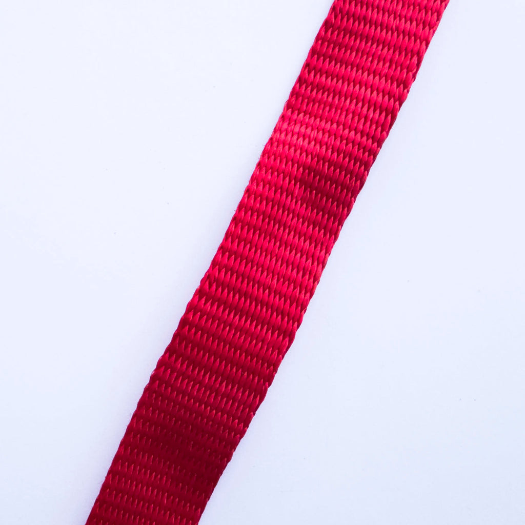 Adjustable Anchor Webbing