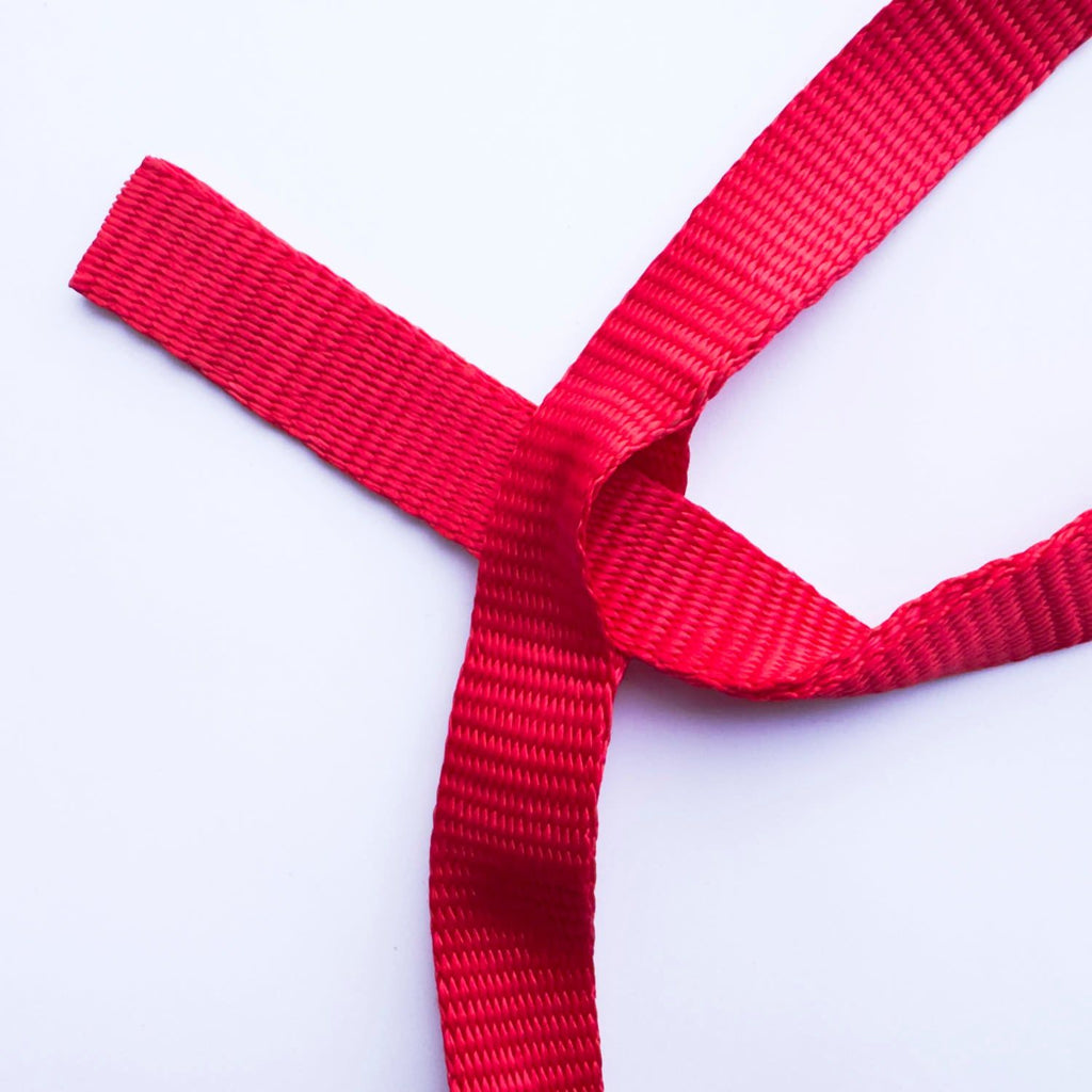 Adjustable Anchor Webbing