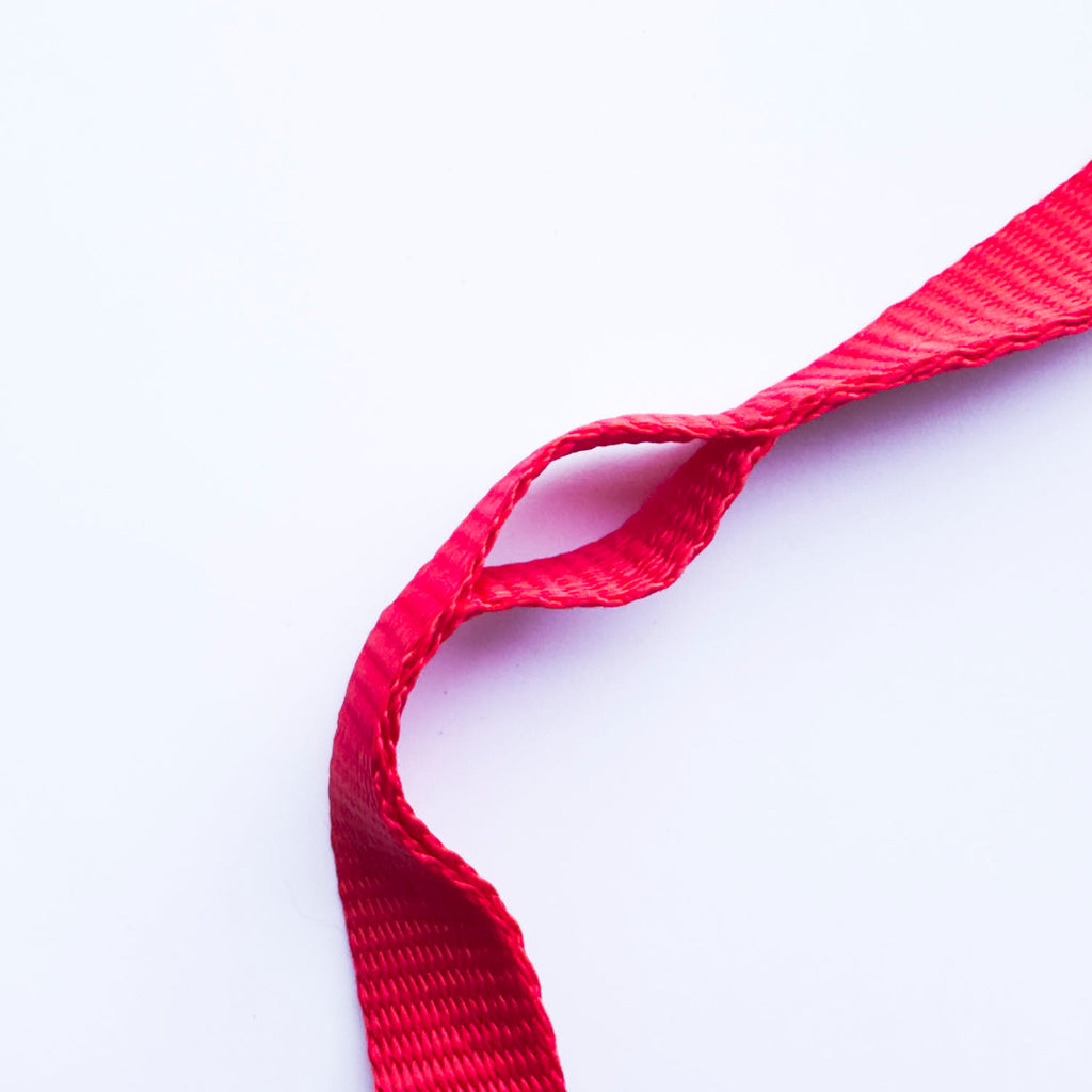 Adjustable Anchor Webbing