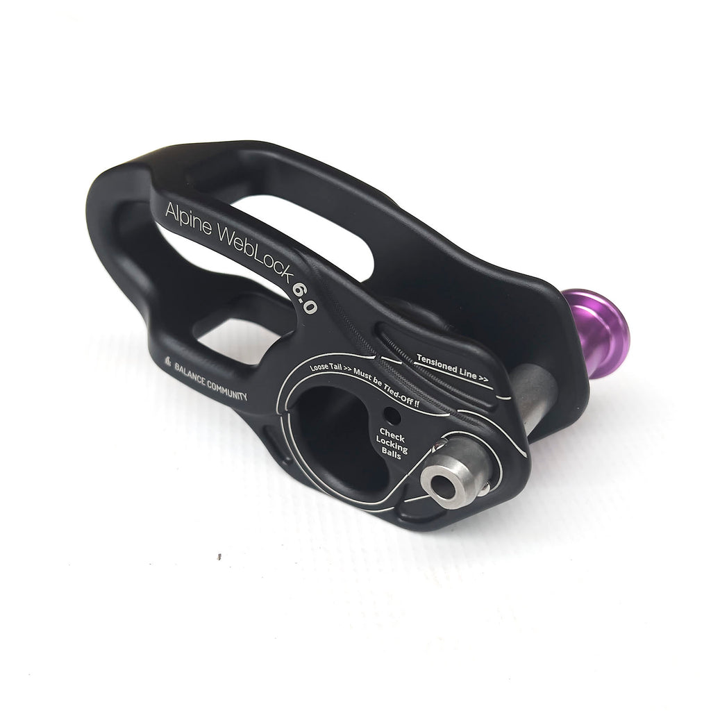 Alpine WebLock 6.1